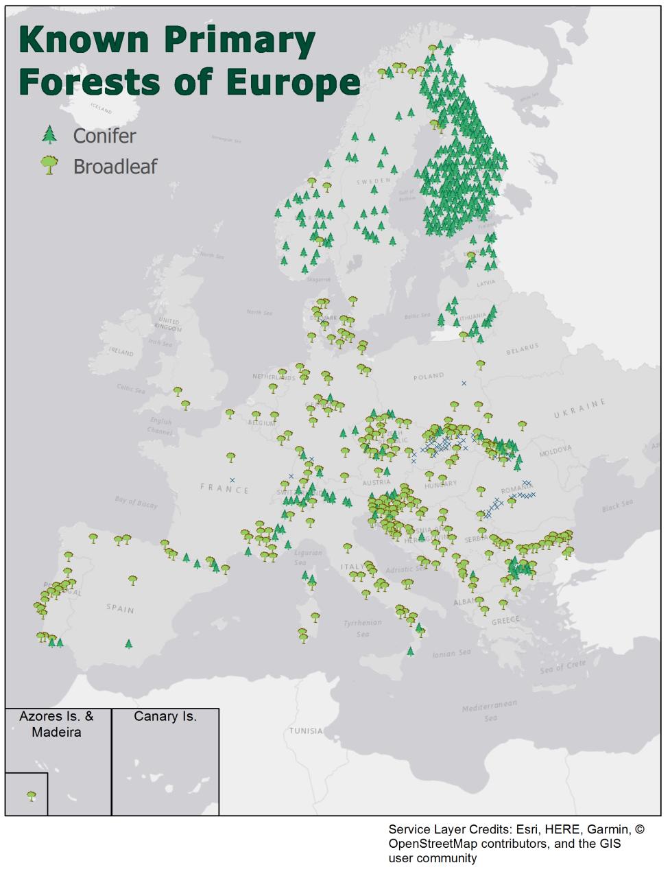 New Map Shows Many Old-growth Forests Remain In Europe
